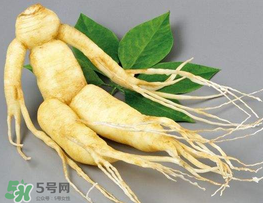 春天能吃高麗參嗎？春天可以喝高麗參湯嗎？