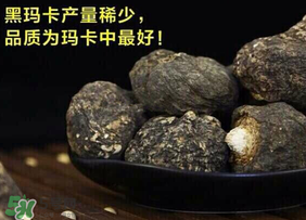 春天能吃瑪卡嗎？女人春天能吃瑪卡嗎？