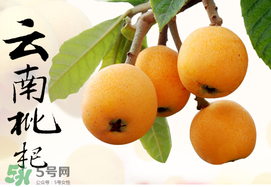 枇杷能放冰箱嗎？枇杷可以放冰箱保存嗎？