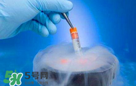 凍卵是什么？凍卵子需要多少錢？