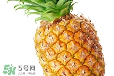 吃菠蘿太多會(huì)胃痛嗎？為什么吃菠蘿會(huì)胃痛？