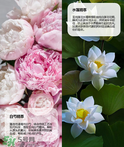 羽西丁一晨限定護膚品多少錢？羽西丁一晨限定價格