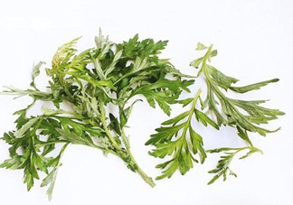 艾草可以治痛經(jīng)嗎？艾草能治月經(jīng)不調(diào)嗎？