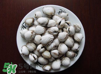 泥蚶怎么讀？泥蚶做法