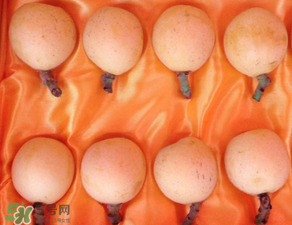 糖尿病能吃枇杷嗎？糖尿病人能吃枇杷嗎？