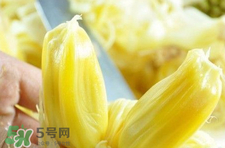 菠蘿蜜怎么吃？菠蘿蜜好吃嗎？