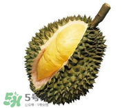 榴蓮可以和酸奶一起吃嗎？吃榴蓮喝酸奶會(huì)中毒嗎？