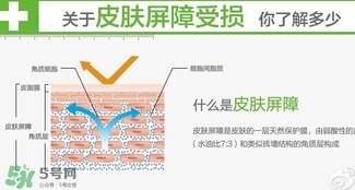 玉澤和至本哪個好？玉澤和至本區(qū)別對比