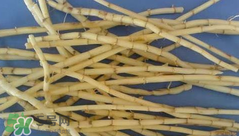 茅根的功效與作用 茅根有什么作用？