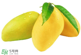 芒果哪里的最好吃？芒果哪種品種好吃？
