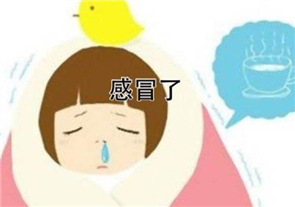 為什么總是感冒？總是感冒怎么回事？