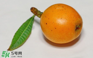 枇杷可以和蔥一起煮嗎？蔥和枇杷葉一起煮可以喝嗎？