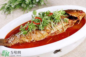 枇杷和魚能一起吃嗎？吃完魚可以吃枇杷嗎？