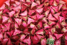 3月份的菱角可以吃嗎？菱角什么時候吃最好？