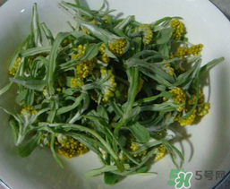 清明草怎么吃？清明草怎么做好吃？