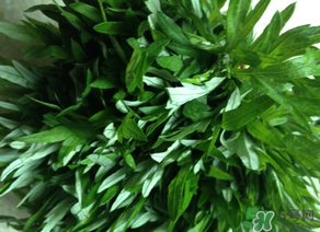 清明草是艾草嗎？清明菜是什么草？
