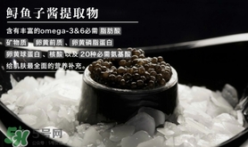 至本是什么牌子？至本什么檔次？