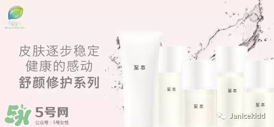 至本是什么牌子？至本什么檔次？