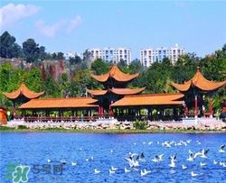4月份去昆明穿什么？四月份去昆明穿什么衣服？