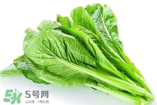 春菜為什么會(huì)苦？春菜發(fā)苦能吃嗎？