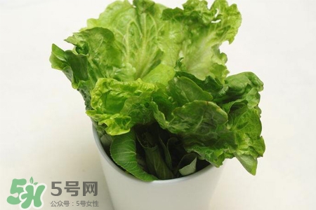 春菜為什么會(huì)苦？春菜發(fā)苦能吃嗎？