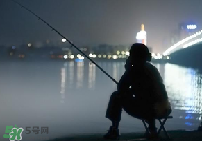 春分能夜釣嗎？春分能釣鯉魚嗎？