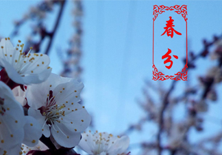 春菜為什么會苦？春菜發(fā)苦能吃嗎？