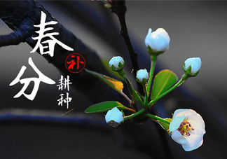 春分吃春菜有什么好處？春菜有什么營養(yǎng)價(jià)值？