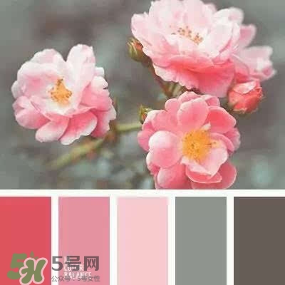 粉色口紅哪個(gè)牌子好？粉色口紅推薦