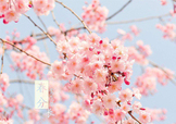 春分吃什么？春分吃什么會(huì)更加健康？