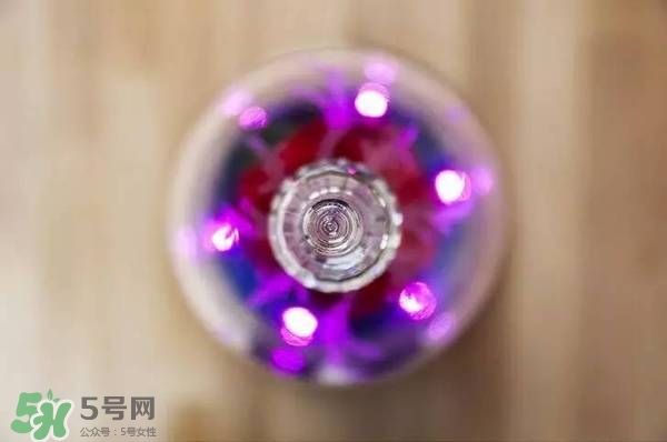 camino美女與野獸音響多少錢？camino玫瑰藍(lán)牙音箱價(jià)格