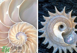 珍珠貝母表盤好嗎？珍珠貝母表盤耐用嗎？