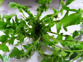 春天吃薺菜好嗎？春天吃薺菜有什么好處？