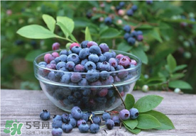 藍(lán)莓一天吃多少為宜？藍(lán)莓每天吃多少合適？