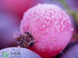 藍(lán)莓變紅可以吃嗎？藍(lán)莓發(fā)紅是壞掉了嘛？