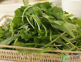 薺菜有毒嗎？吃薺菜會中毒嗎？