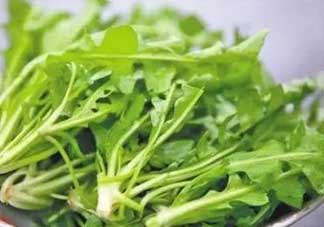 便秘能吃薺菜嗎？便秘可以吃薺菜嗎？