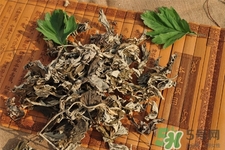 艾草可以泡腳嗎？艾葉泡腳的功效與作用