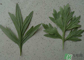 ?蒿子怎么去除苦味？?蒿子粑粑苦是什么原因？