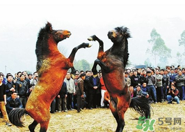 三月三有什么禁忌？三月三有什么講究？