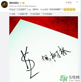 楊樹林口紅是什么牌子？楊樹林口紅是哪個(gè)國(guó)家的？