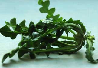 乙肝能吃薺菜嗎？乙肝病人可以吃薺菜嗎？