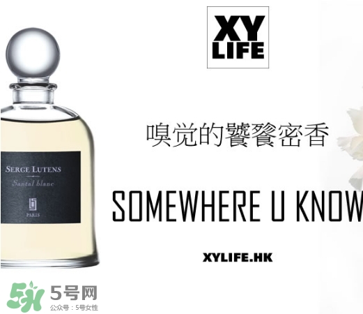 serge lutens蘆丹氏香水哪款好聞？鹵蛋蘆丹氏香水推薦