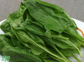 菠菜汁和面菠菜還焯嗎？菠菜汁和面需要焯水嗎？