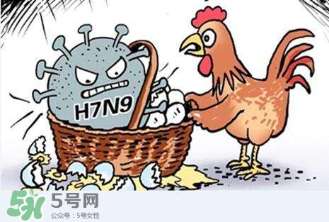 怎樣預(yù)防禽流感？如何預(yù)防禽流感