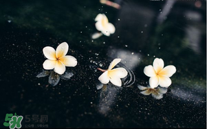 三月份為什么一直下雨？2017年三月份為什么雨多？