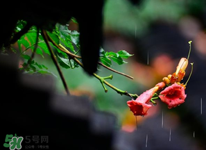 2017年梅雨季節(jié)是幾月？2017年梅雨季節(jié)是什么時(shí)候？