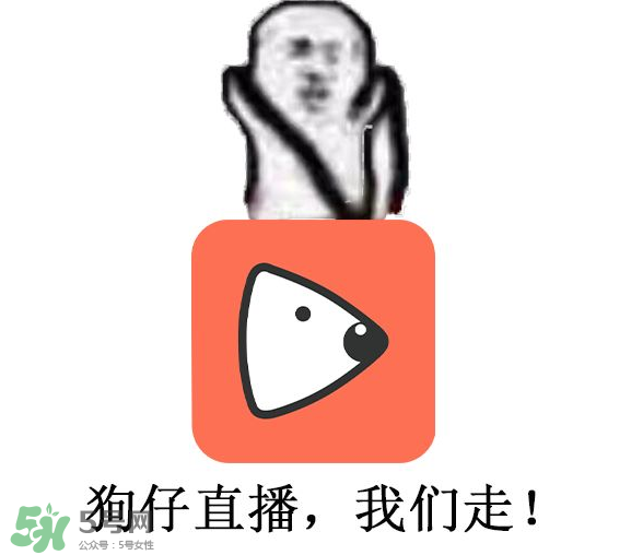黃鱔為什么火了？黃鱔我們走為什么火了？