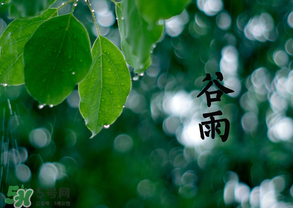 2017年谷雨是幾月幾號(hào)？2017年谷雨是哪一天？