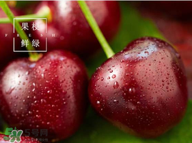 美早櫻桃多少錢一斤？美早櫻桃多少錢一斤2017？